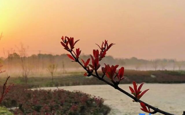 Shanghal 0xygen land Resort Villa