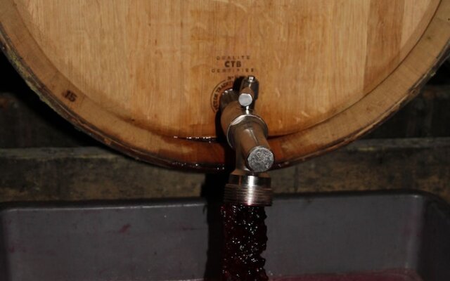 Domaine Borgnat