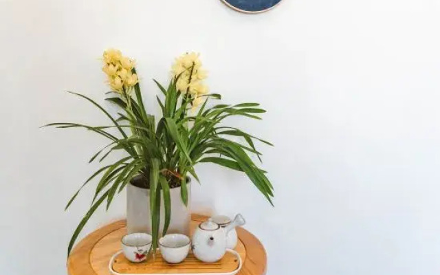 Xingyi Wanfeng Lin Qingfengjuju