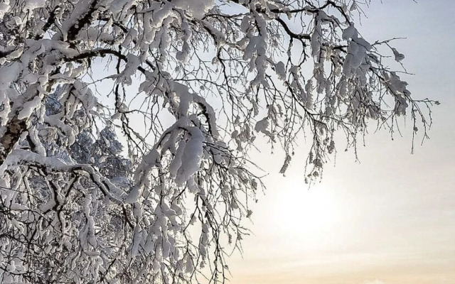 Sarah Dreamhome in Lapland Kittil