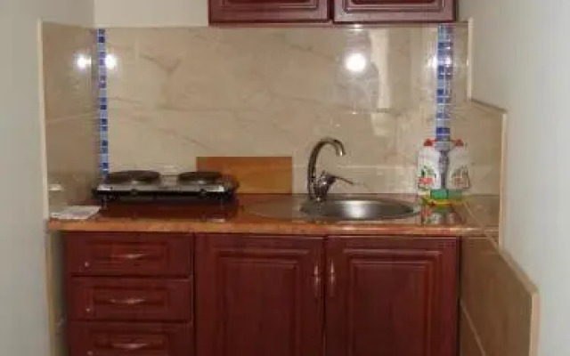 Chernivtsi Apartments