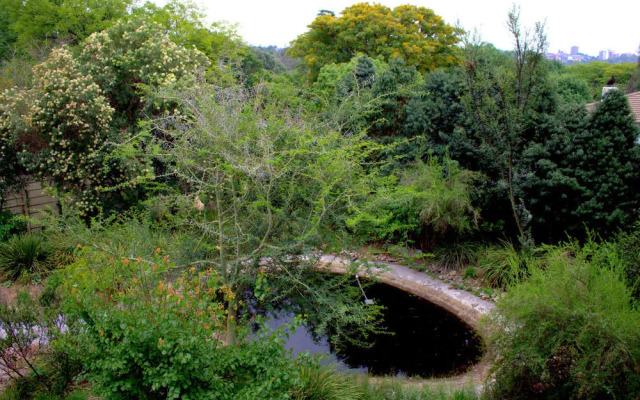 Wild Olive Executive Suite