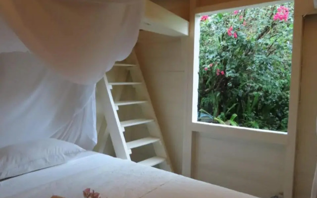 Akunamatata Guest House Cul de Sac