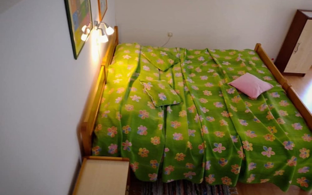 Apartment and Room Silvana