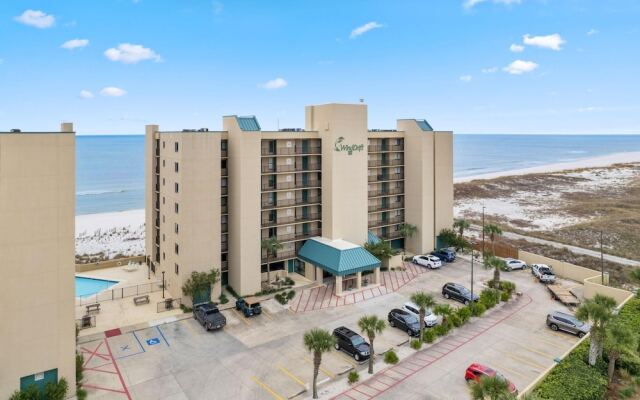 Wind Drift South West 308