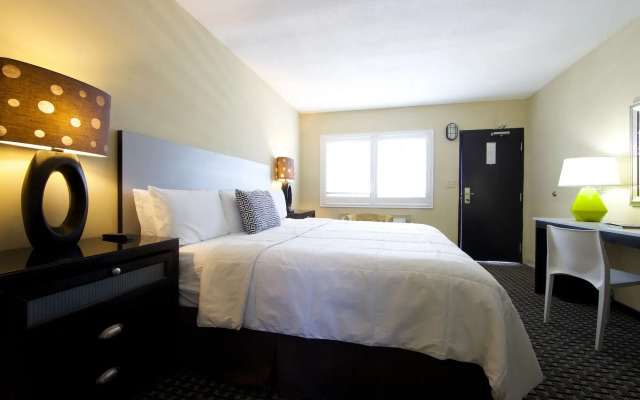 Sole Inn and Suites