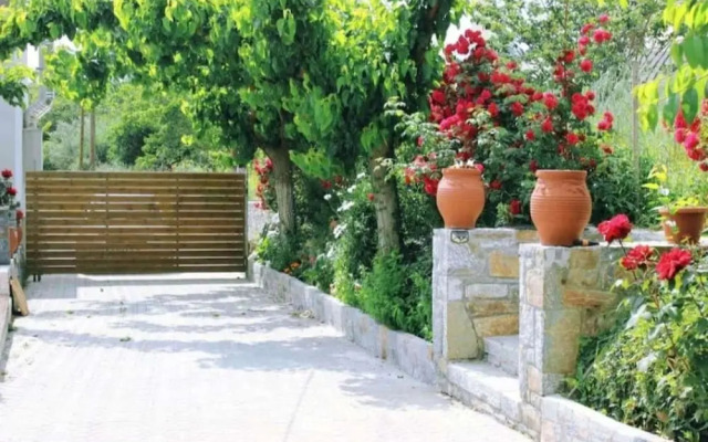 Rose Hedge