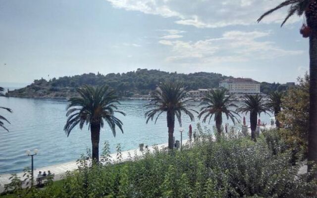 Apartments Nizetic at Waterfront