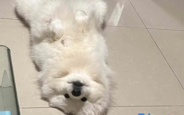 Wuyuan Mingquan Shanshu Homestay (Guangling Scenic Area)