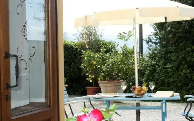 Il Bellini Apartment Cantina
