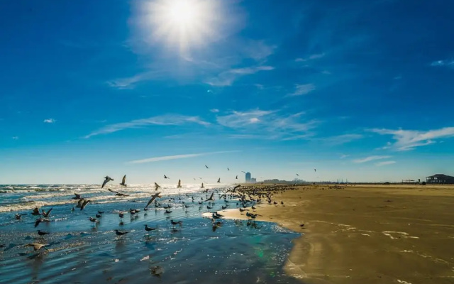 Relax in the Heart of Galveston