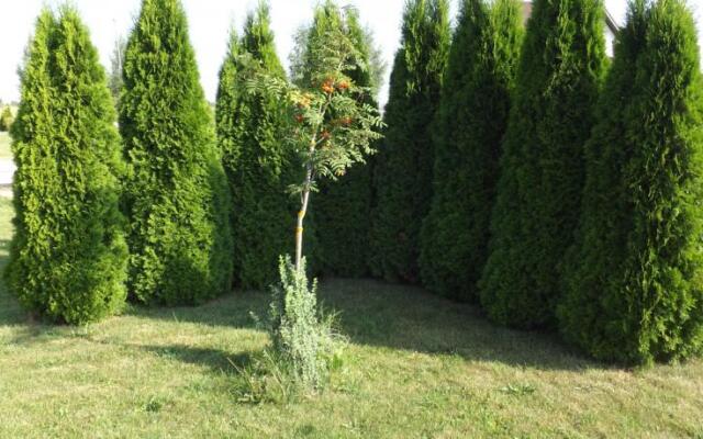 Salu Guest Accommodation