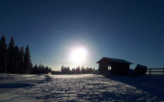 Au Petit Bonheur Vosgien - Gîte Les Brimbelles
