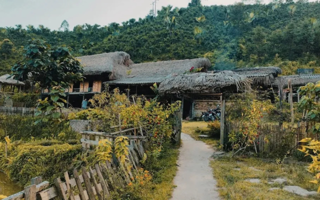 Ban Lien Pine Homestay Lao Cai — 1-star hotel in Bac Ha