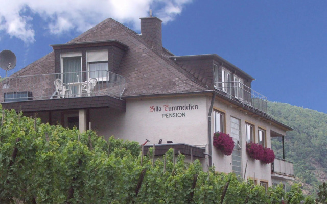 Villa Tummelchen