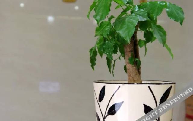 Xinjia Boutique Hotel