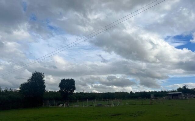 Bridie Rose - hot tub Extra Charge Exotic Animals