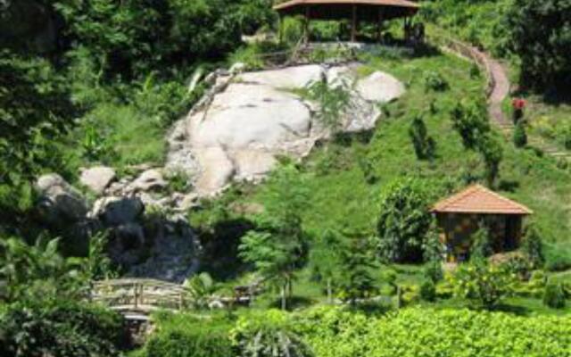 Brahmaputra Jungle Resort