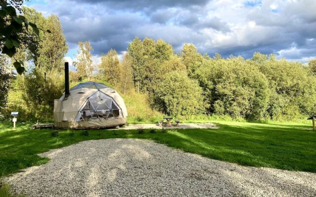 Wild Caribou Dome