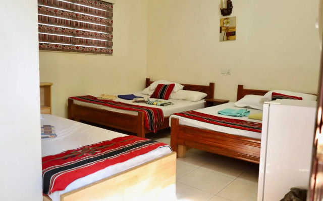 Bedouin Garden Village, Hotel Dive