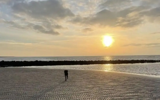 Holiday Home in Ameland by Golf Course