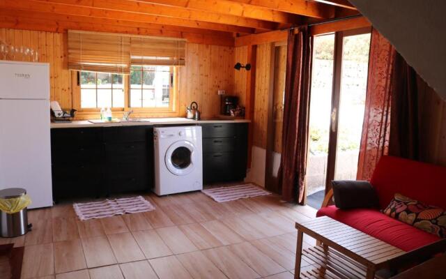 Half wooden rural apartment