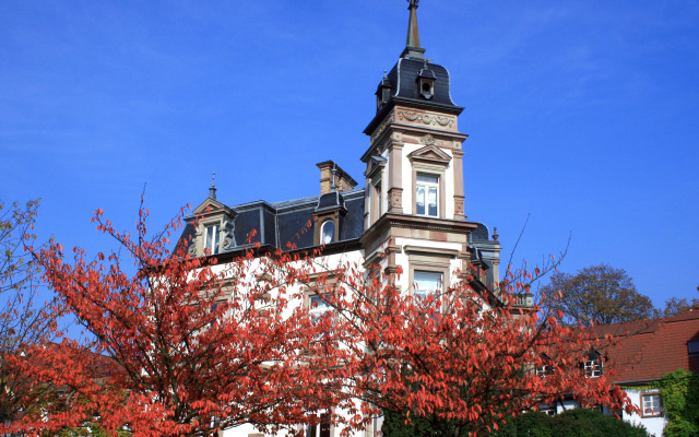 Château de l'Ile & Spa