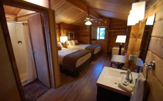 Denali Cabins