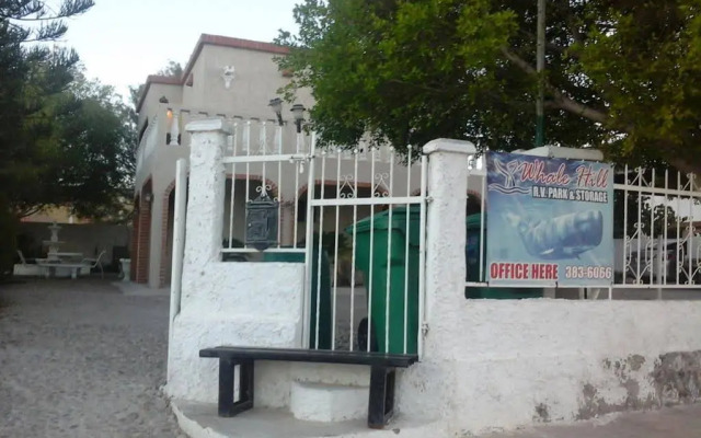 Whale Hill