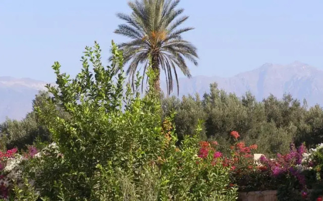 Dar Alawan