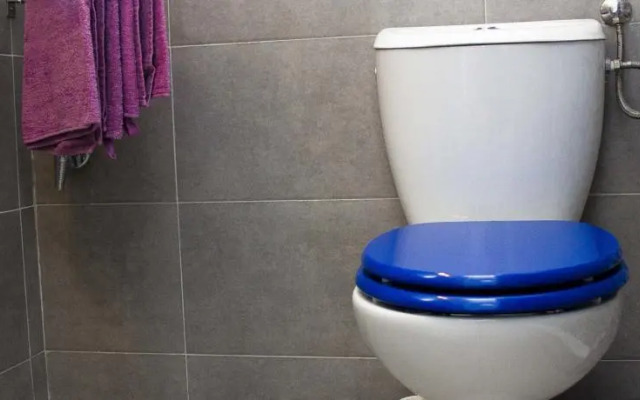 Adams Flat - Klauzal