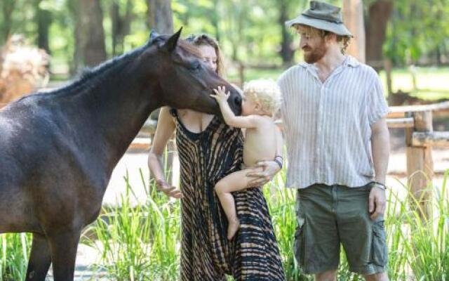 Kande Horse And Guest Farm House