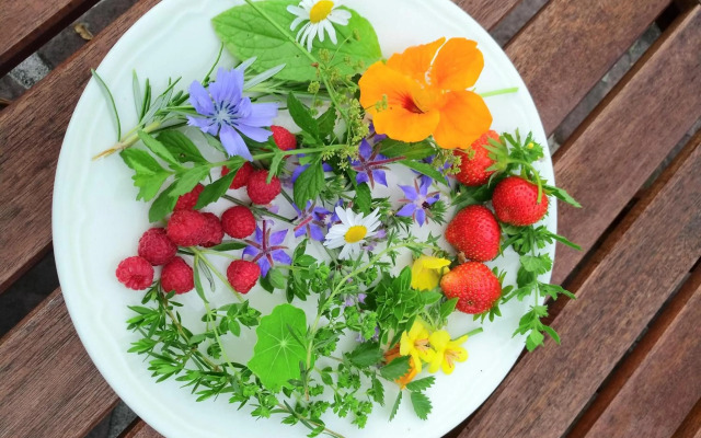 Logis Hotel Xoko-Goxoa