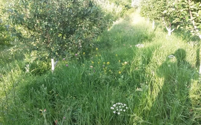 Holiday Home Vodopad