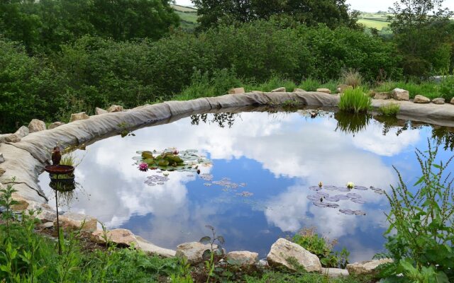 The Sanctuary Cornwall