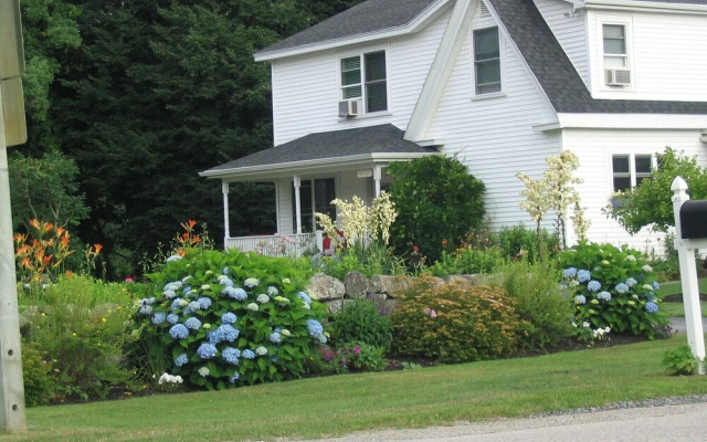 Bittersweet Bed and Breakfast