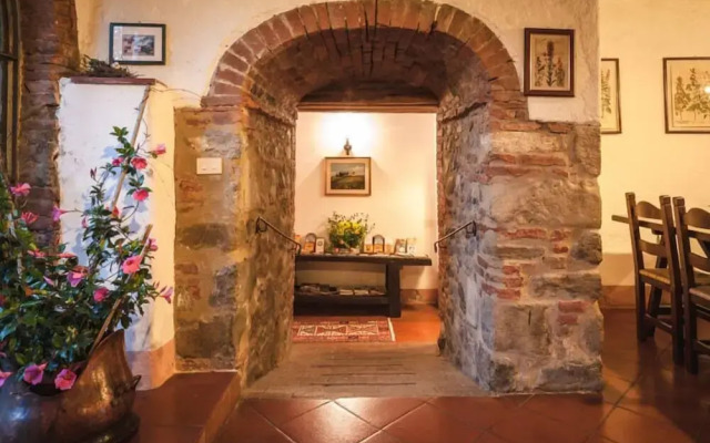 Verdidea - Podere Contignano