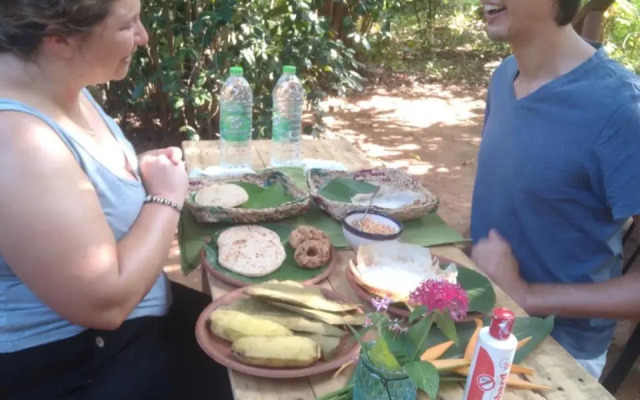 Dambulla Tree House