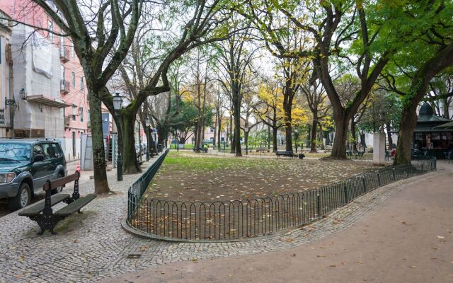 The Mulberry Tree Lisbon Hostel