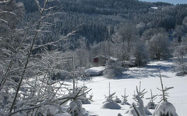 Serene Holiday Home With Private Garden, Whirlpool, Terrace