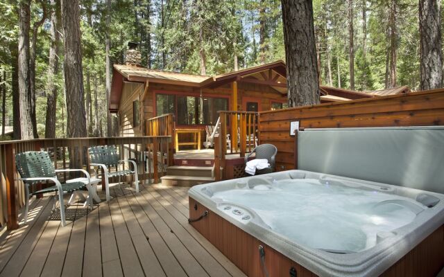 Yosemite Scenic Wonders - Wawona Area