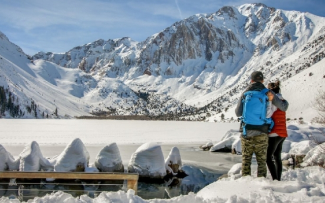 Mammoth Green Condos