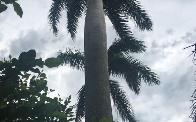 San Angel Hotel Boutique