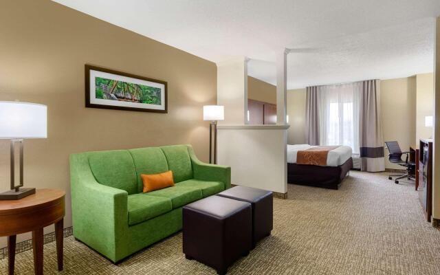 Comfort Suites Abingdon I-81