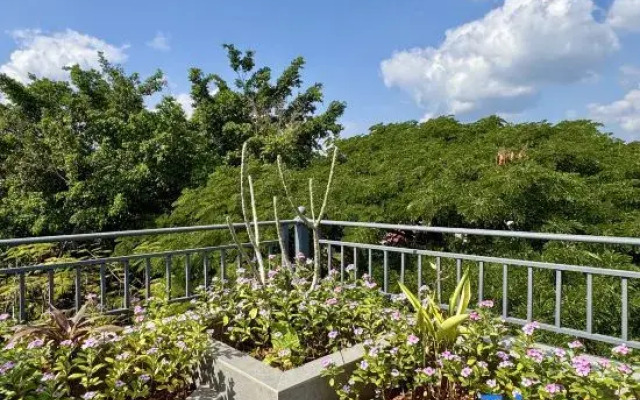 Jinghong Weston Resort Hotel(Peacock Princess Grand Theatre Branch)