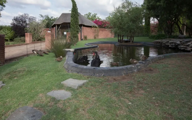 Owls Loft Guest House