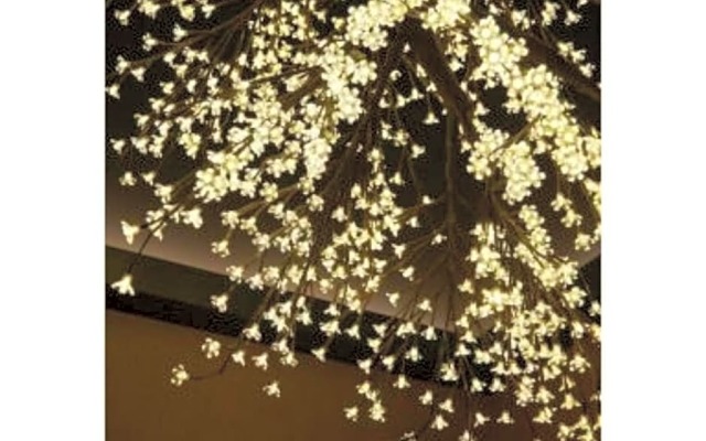 Sakura Sky Hotel - Vacation STAY 18442v