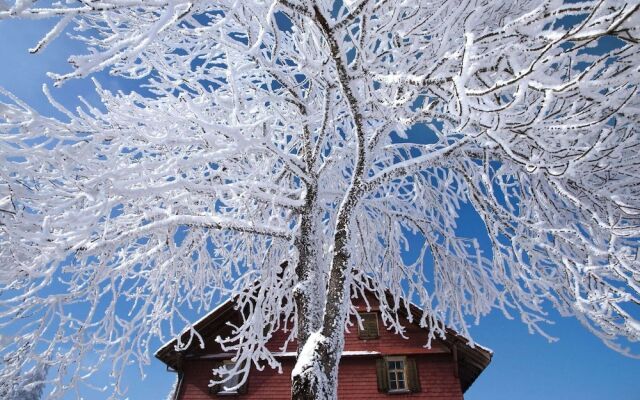 Cozy Holiday Home in Kandergrund With Blümlisalp View