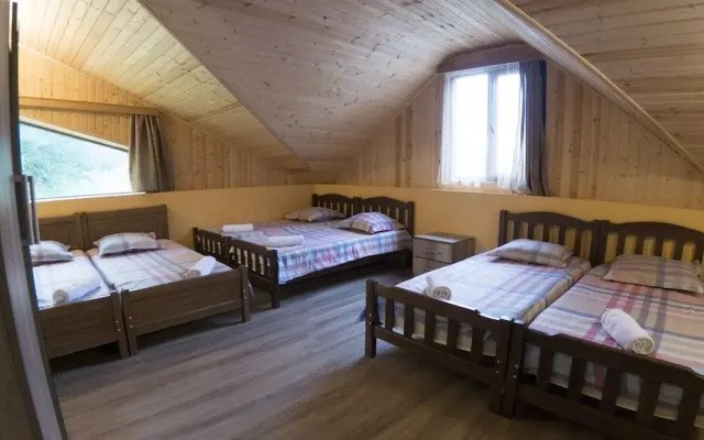 Hotel Eco House In Bakuriani