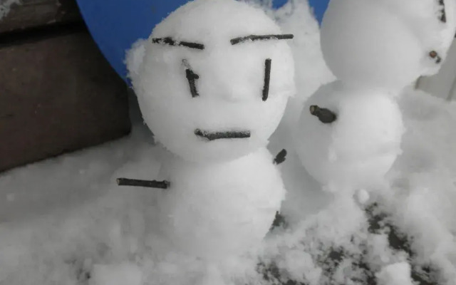 Okuyama Pension Radish